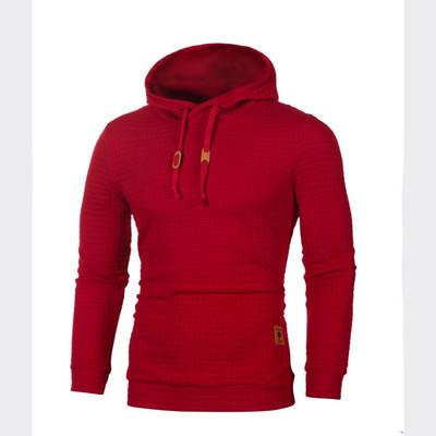 Spring Autumn Solid Long Sleeve Hoodie